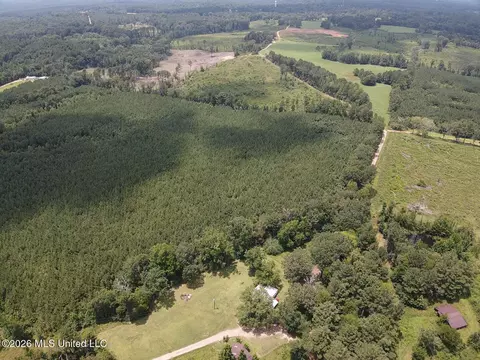 County Road 131b, Morton, MS 39117 photo 8