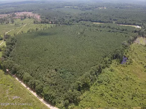 County Road 131b, Morton, MS 39117 photo 12