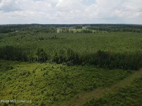 County Road 131b, Morton, MS 39117 photo 3