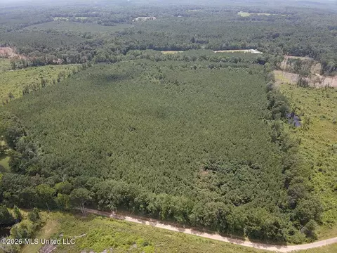 County Road 131b, Morton, MS 39117 photo 11