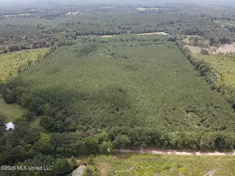 County Road 131b, Morton, MS 39117 photo 10
