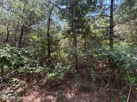 County Road 131b, Morton, MS 39117 photo 25