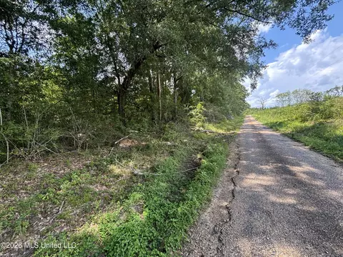 County Road 131b, Morton, MS 39117 photo 22