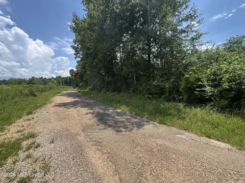 County Road 131b, Morton, MS 39117 photo 24