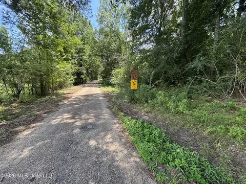 County Road 131b, Morton, MS 39117 photo 21