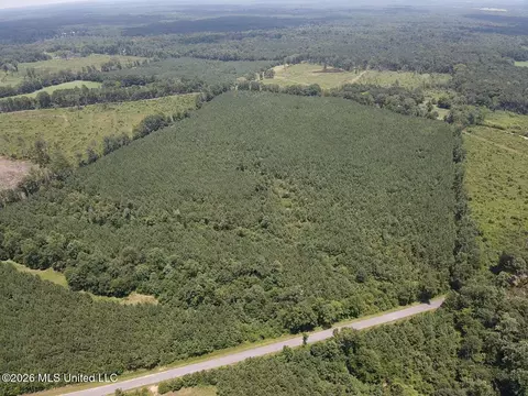 County Road 131b, Morton, MS 39117 photo 16