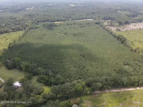 County Road 131b, Morton, MS 39117 photo 9