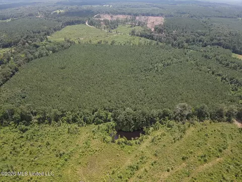 County Road 131b, Morton, MS 39117 photo 13