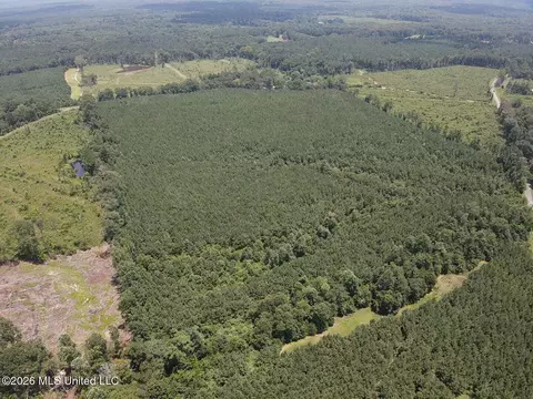 County Road 131b, Morton, MS 39117 photo 17