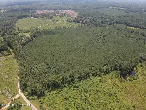 County Road 131b, Morton, MS 39117 photo 14