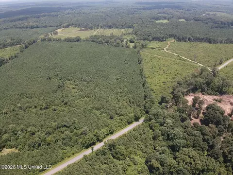County Road 131b, Morton, MS 39117 photo 18