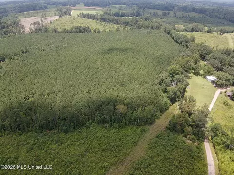 County Road 131b, Morton, MS 39117 photo 6