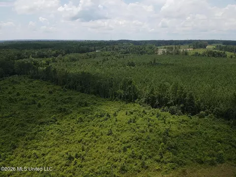 County Road 131b, Morton, MS 39117 photo 4