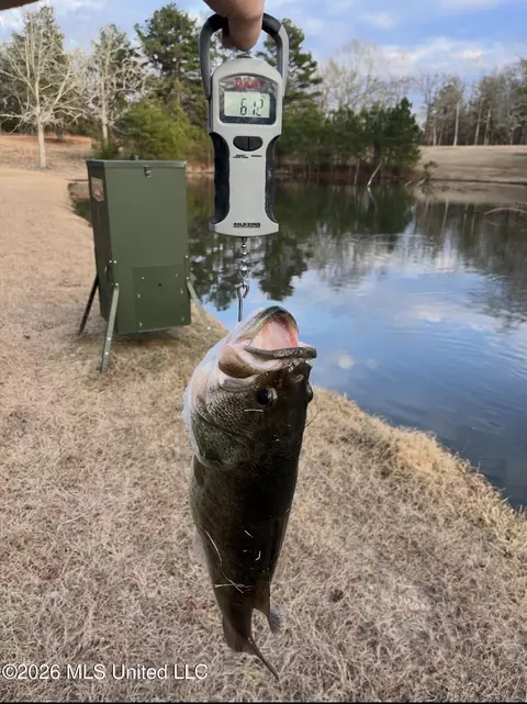 Other - 486 Holifield Cir, Brandon, MS 39042 photo 10 of 34