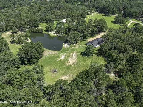 View/Area - 486 Holifield Cir, Brandon, MS 39042 photo 3 of 3
