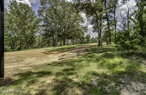 Exterior - 486 Holifield Cir, Brandon, MS 39042 photo 11 of 12