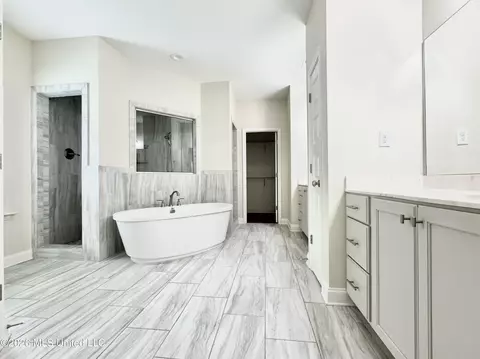 Bath - 626 Dudley Dr, Hernando, MS 38632 photo 1 of 4