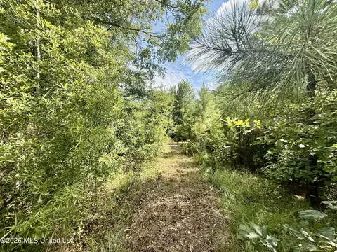 152 Ken Garner Rd, Magee, MS 39111 photo 9