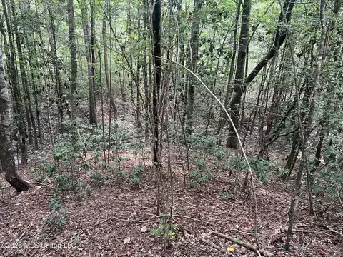 Mcdonald Road, Leakesville, MS 39451