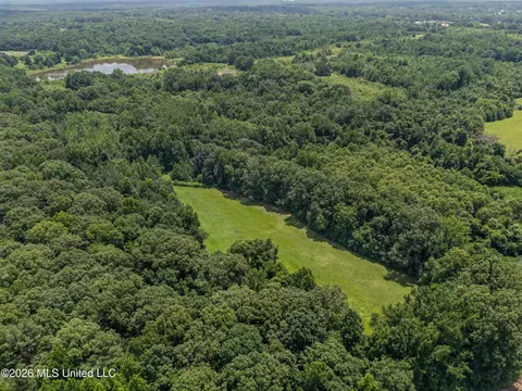 0 Freeman Dr, Coldwater, MS 38618 photo 7