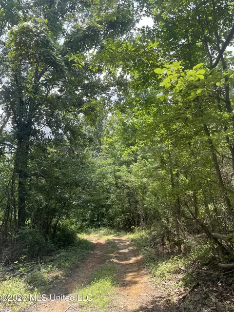 0 Freeman Dr, Coldwater, MS 38618 photo 14