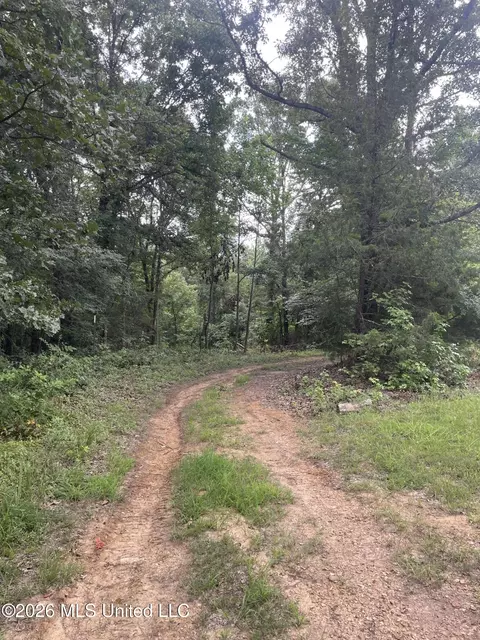 0 Freeman Dr, Coldwater, MS 38618 photo 13