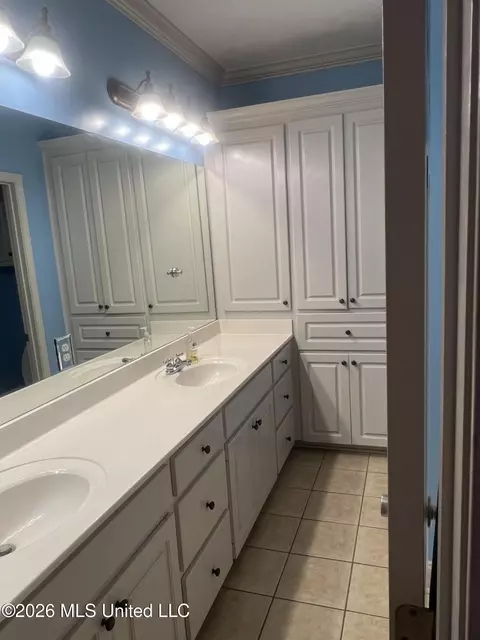 Bath - 107 Ashby Park, Canton, MS 39046 photo 7 of 8