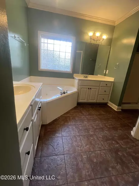 Bath - 107 Ashby Park, Canton, MS 39046 photo 3 of 8