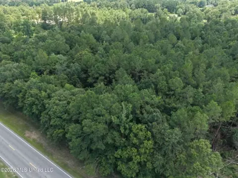 S Highway 43, Picayune, MS 39466 photo 3