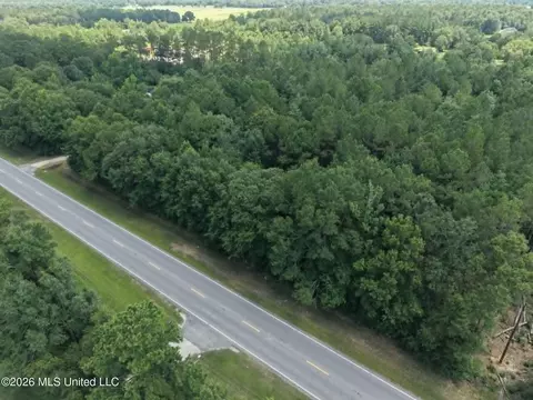 S Highway 43, Picayune, MS 39466 photo 2