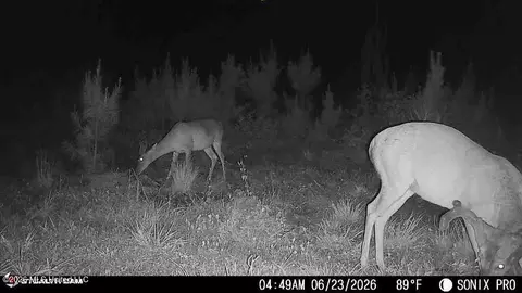 3368 Busy Corner Rd, Gloster, MS 39638 photo 32