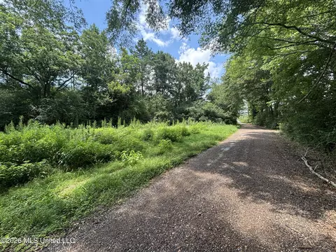 County Road 131b, Morton, MS 39117 photo 19
