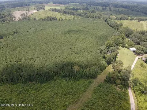 County Road 131b, Morton, MS 39117 photo 6