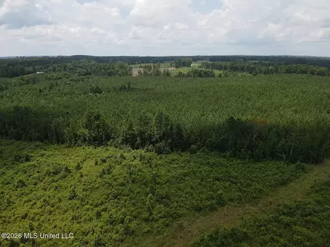 County Road 131b, Morton, MS 39117 photo 3