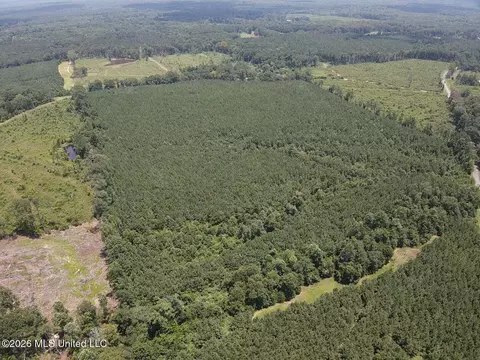 County Road 131b, Morton, MS 39117 photo 16