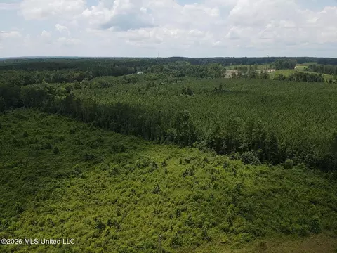 County Road 131b, Morton, MS 39117 photo 4