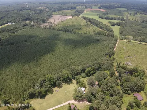 County Road 131b, Morton, MS 39117 photo 8