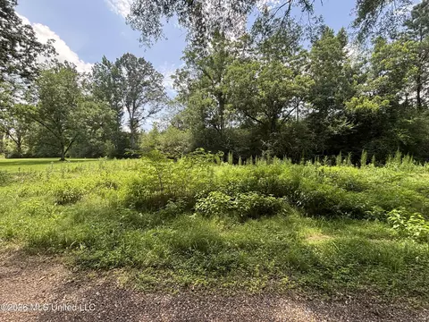 County Road 131b, Morton, MS 39117 photo 18