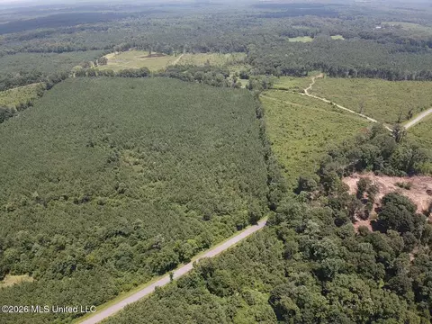 County Road 131b, Morton, MS 39117 photo 17