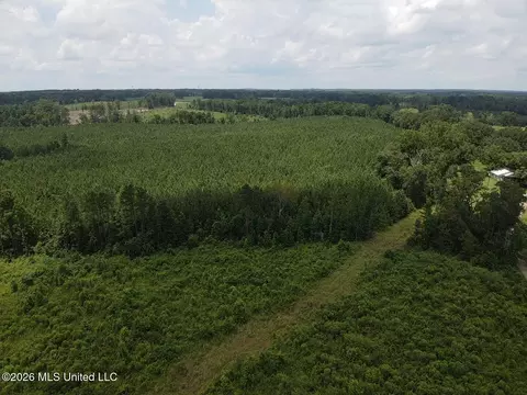 County Road 131b, Morton, MS 39117 photo 2