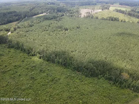 County Road 131b, Morton, MS 39117 photo 5