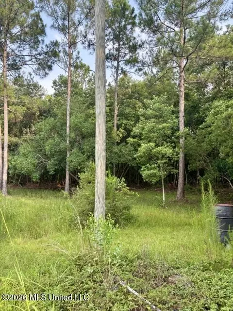 19493 N Shaw Rd, Saucier, MS 39574 photo 5