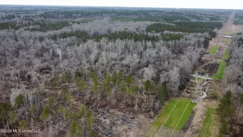 001 Dry Grove Rd, Terry, MS 39170 photo 20