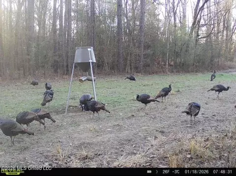 001 Dry Grove Rd, Terry, MS 39170 photo 27