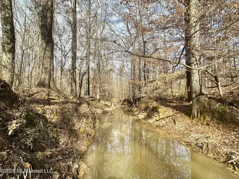 001 Dry Grove Rd, Terry, MS 39170 photo 7