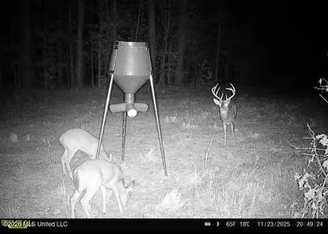 001 Dry Grove Rd, Terry, MS 39170 photo 29