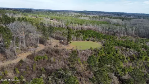 001 Dry Grove Rd, Terry, MS 39170 photo 4