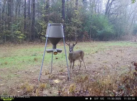 001 Dry Grove Rd, Terry, MS 39170 photo 24