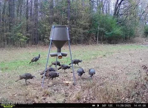 001 Dry Grove Rd, Terry, MS 39170 photo 23
