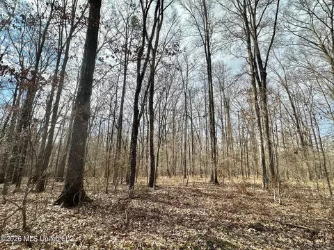 001 Dry Grove Rd, Terry, MS 39170 photo 8